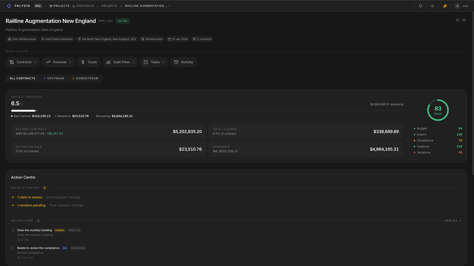 Palydin project overview with health signals, progress, action centre, and open action items